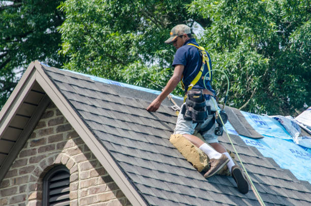 Best Gutter Installation and Roofing  in Lebanon, OH